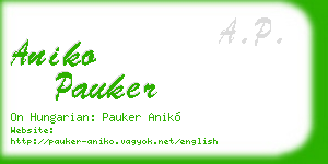 aniko pauker business card