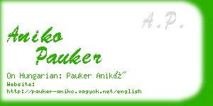 aniko pauker business card